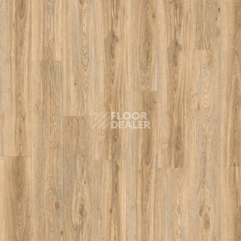 Кварцвиниловые полы Moduleo LayRed Pro дерево Blackjack Oak 22220 фото 1 | FLOORDEALER